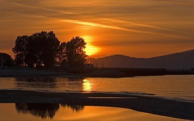 一张嘴就把天聊死的生肖