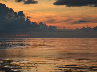 看似开明 其实意外地顽固的生肖男