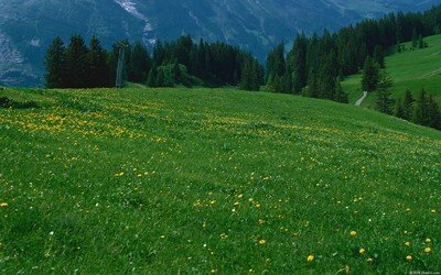 触及到底线 这些生肖最容易陷入疯狂