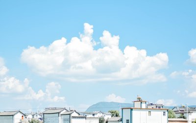 风吹两边倒的三大墙头草生肖