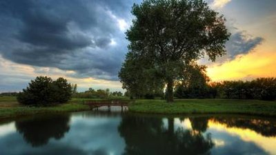 不介意恋人年纪比自己更大的四大生肖男