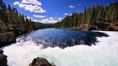 沉默 不爱和别人交流的生肖