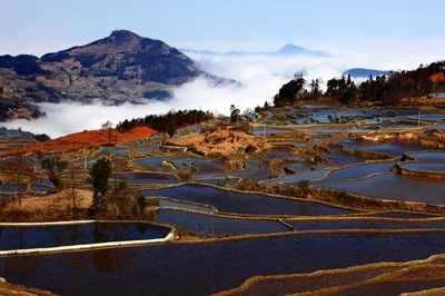 属龙男人可以挽回的征兆