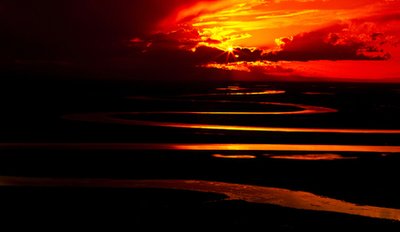 属鸡男生应如何经营爱情