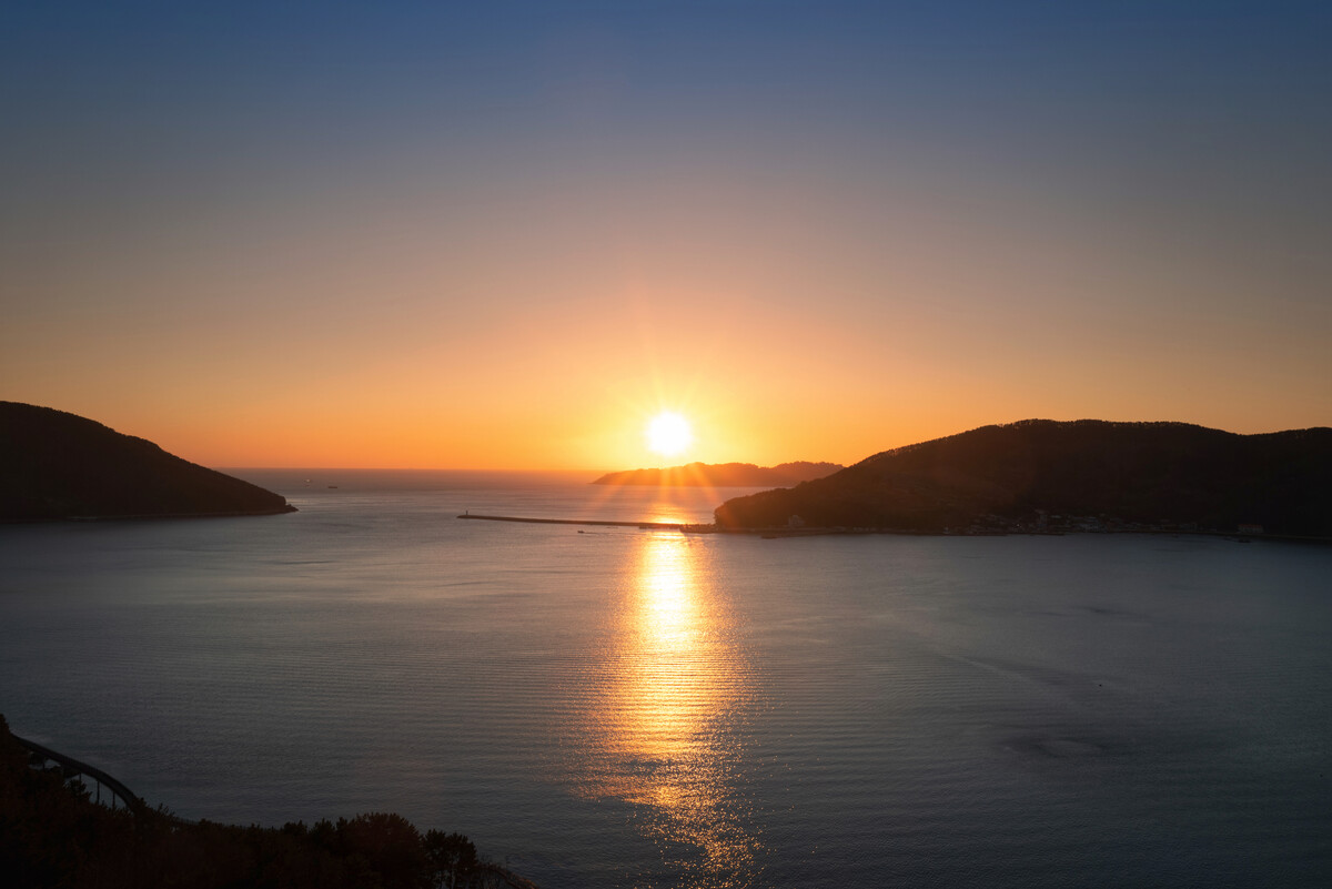 天生倔强软硬不吃的四大生肖