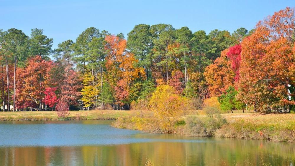 属马女人如何对付不重视你的丈夫