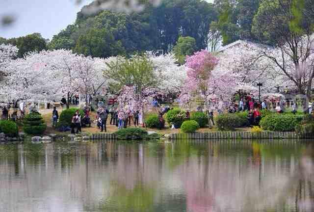 属蛇男对女票的哪些方面敢怒不敢言