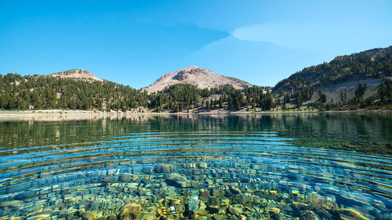 属龙男生为什么对恋爱失去兴趣