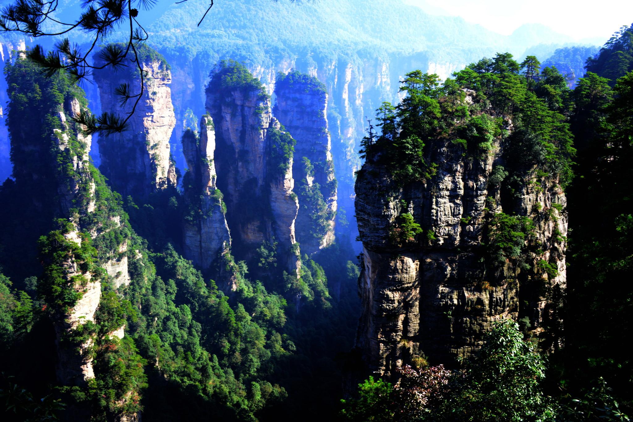 属兔处女男生的爱情观如何 花心吗