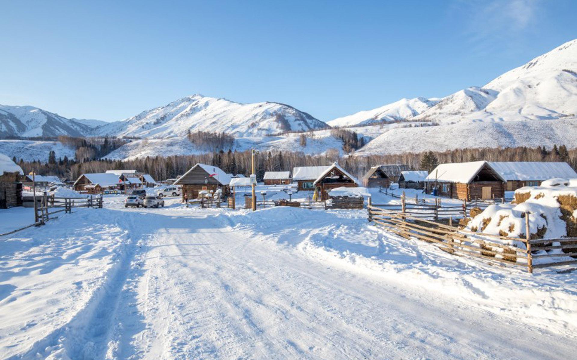 属兔男生为什么对恋爱失去兴趣