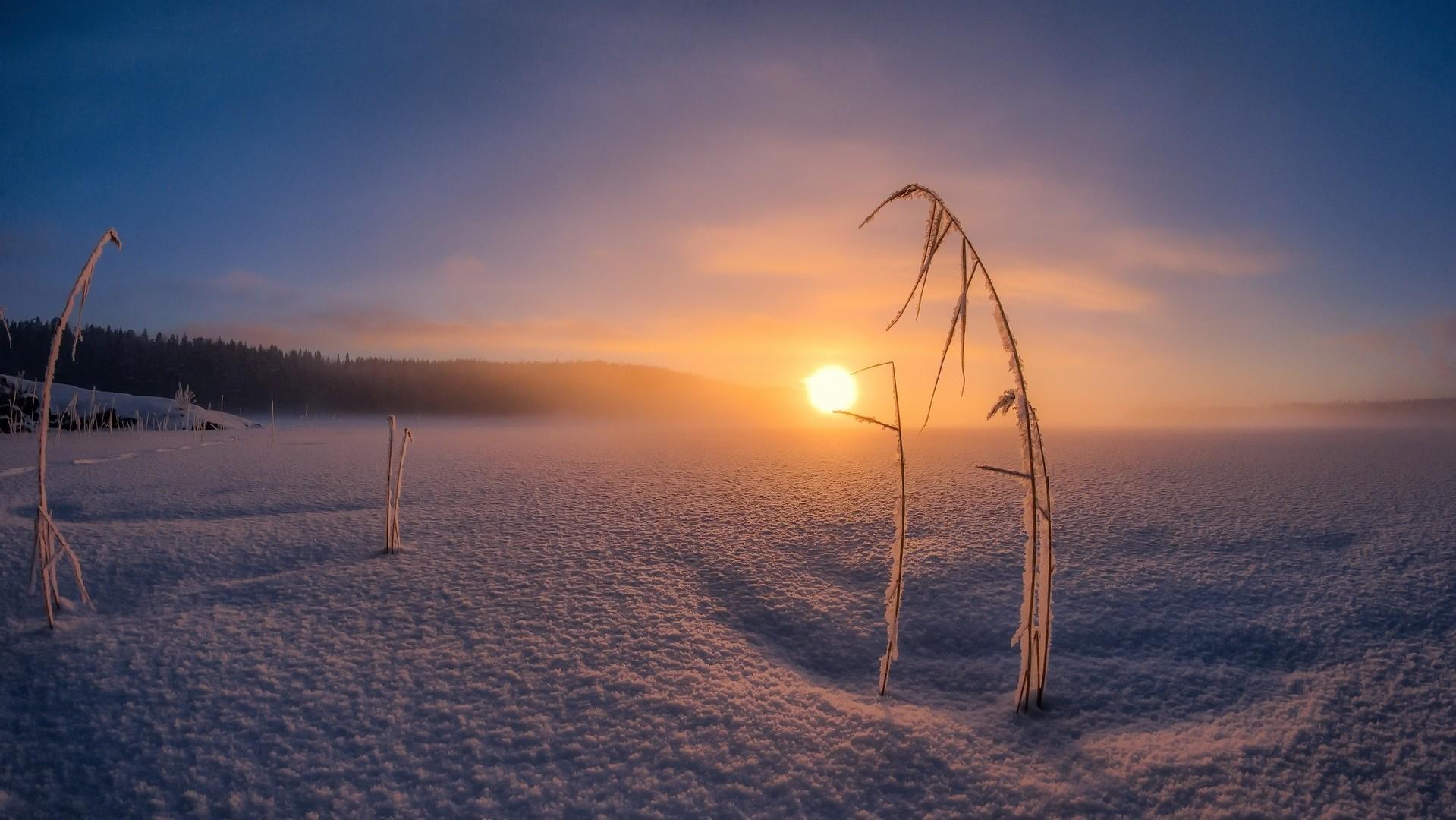 属兔男为什么会变渣