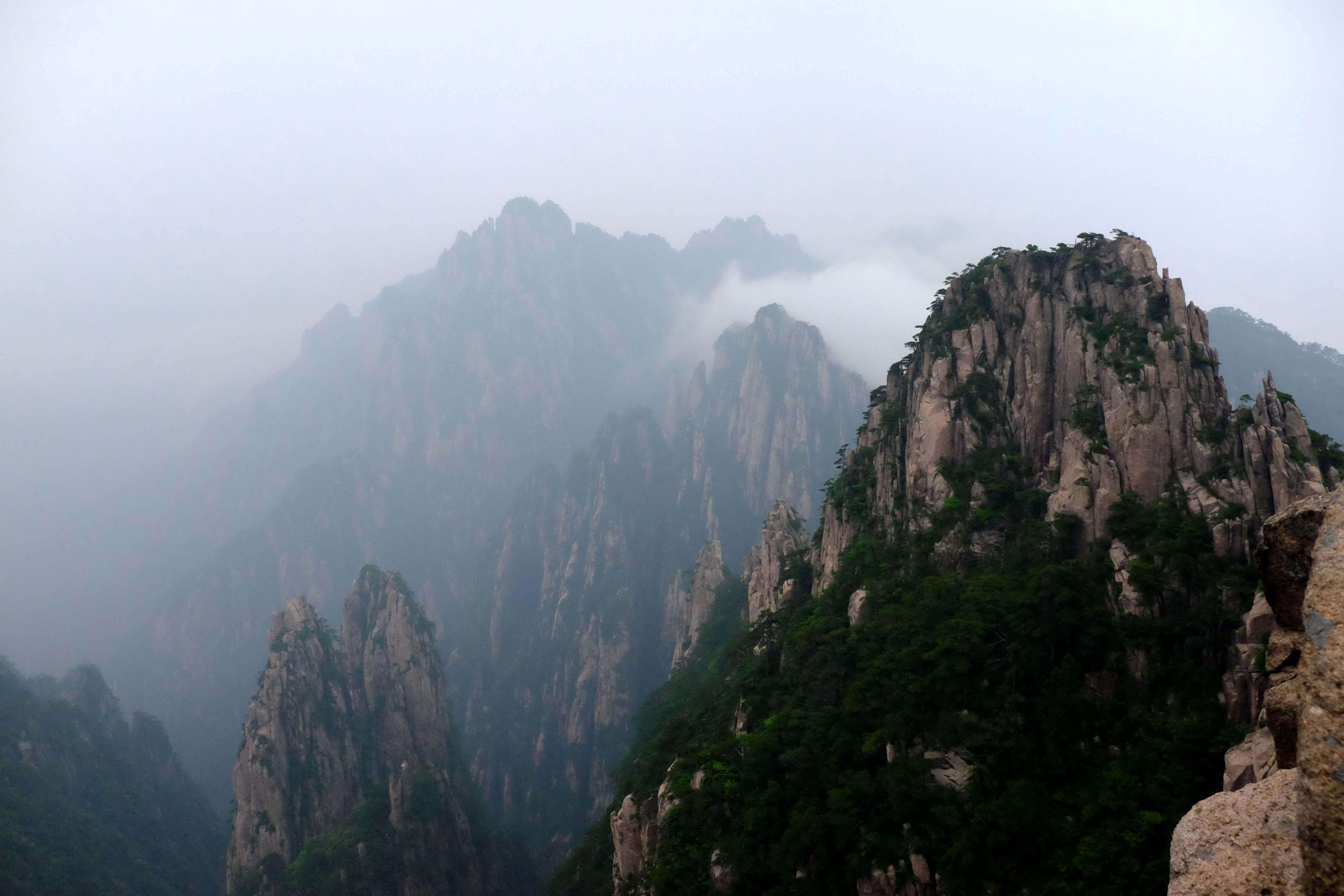 属猴年运势及运程