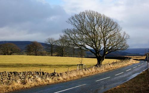 属狗的贵人和小人 分别要如何相处