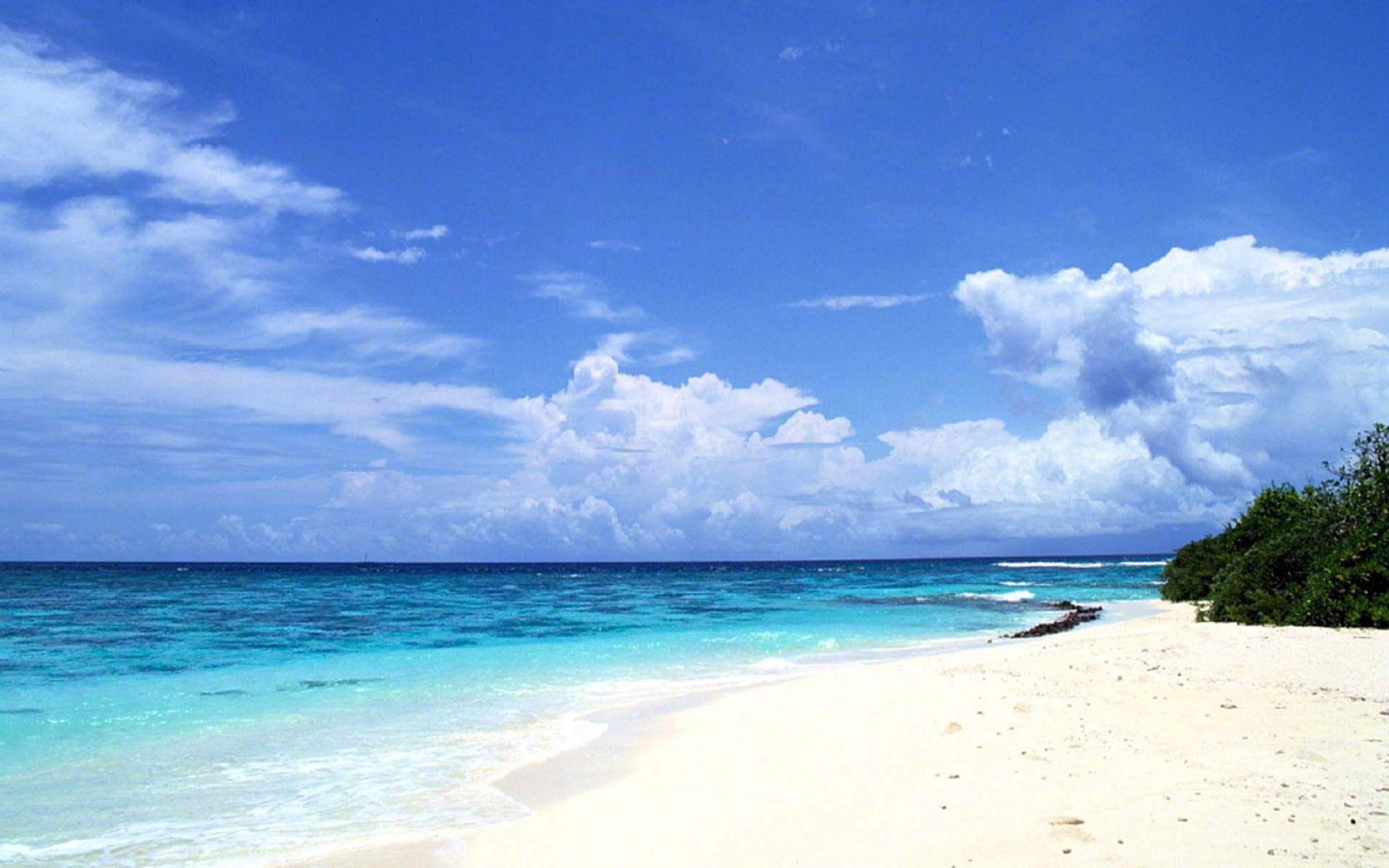 属狗男人可以挽回的征兆