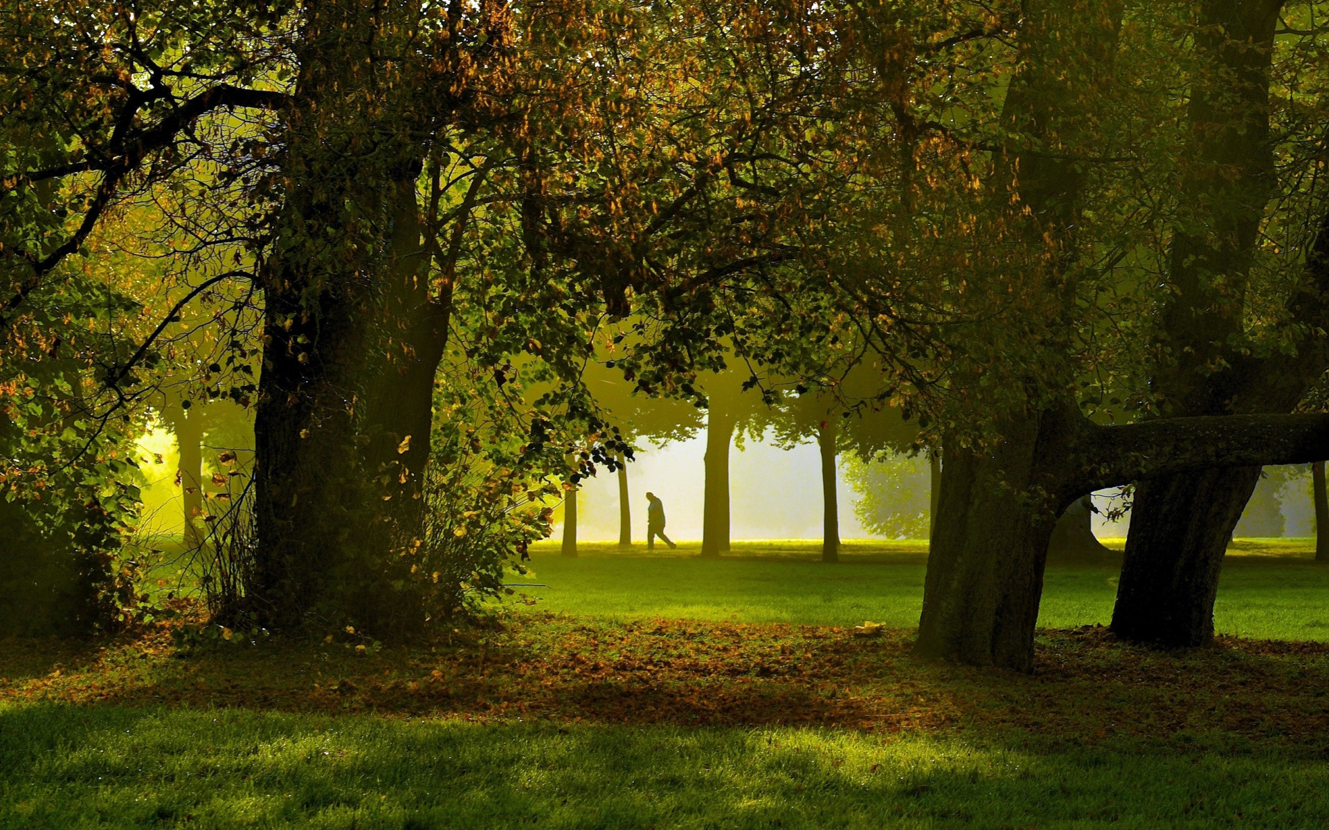 属龙与属蛇谁的城府更深更狡猾