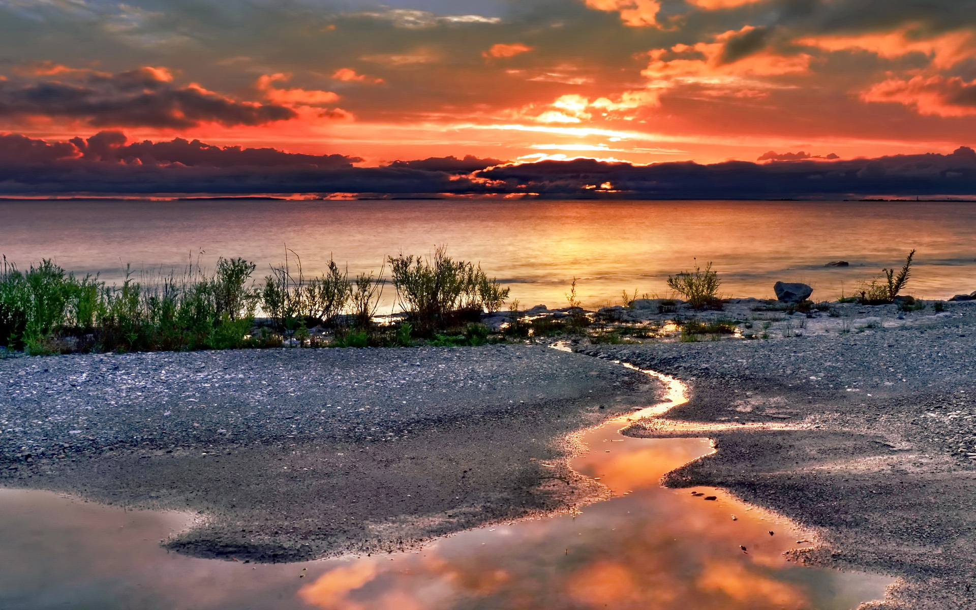 无忧无虑活得很乐观的四大生肖