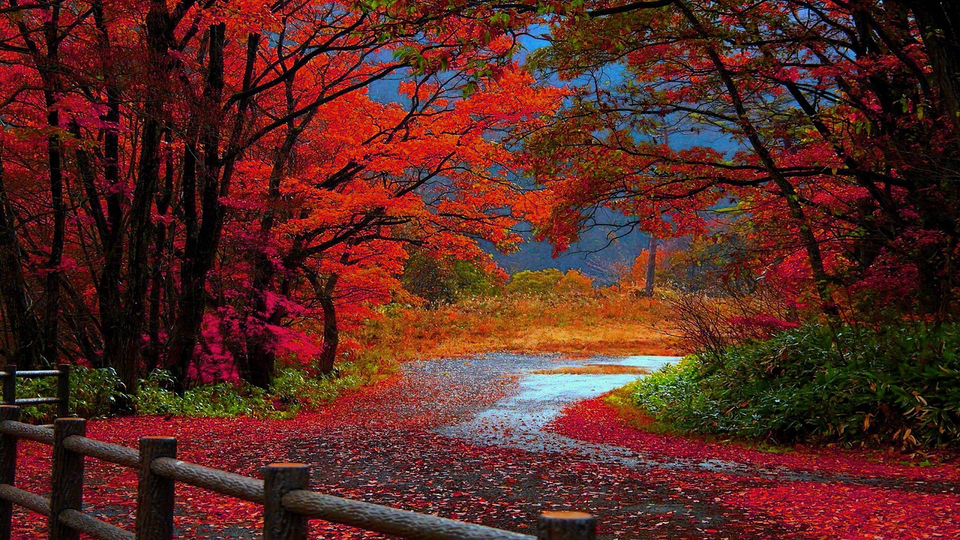 属兔的几月出生最好命男孩子 最忌讳哪个月出生