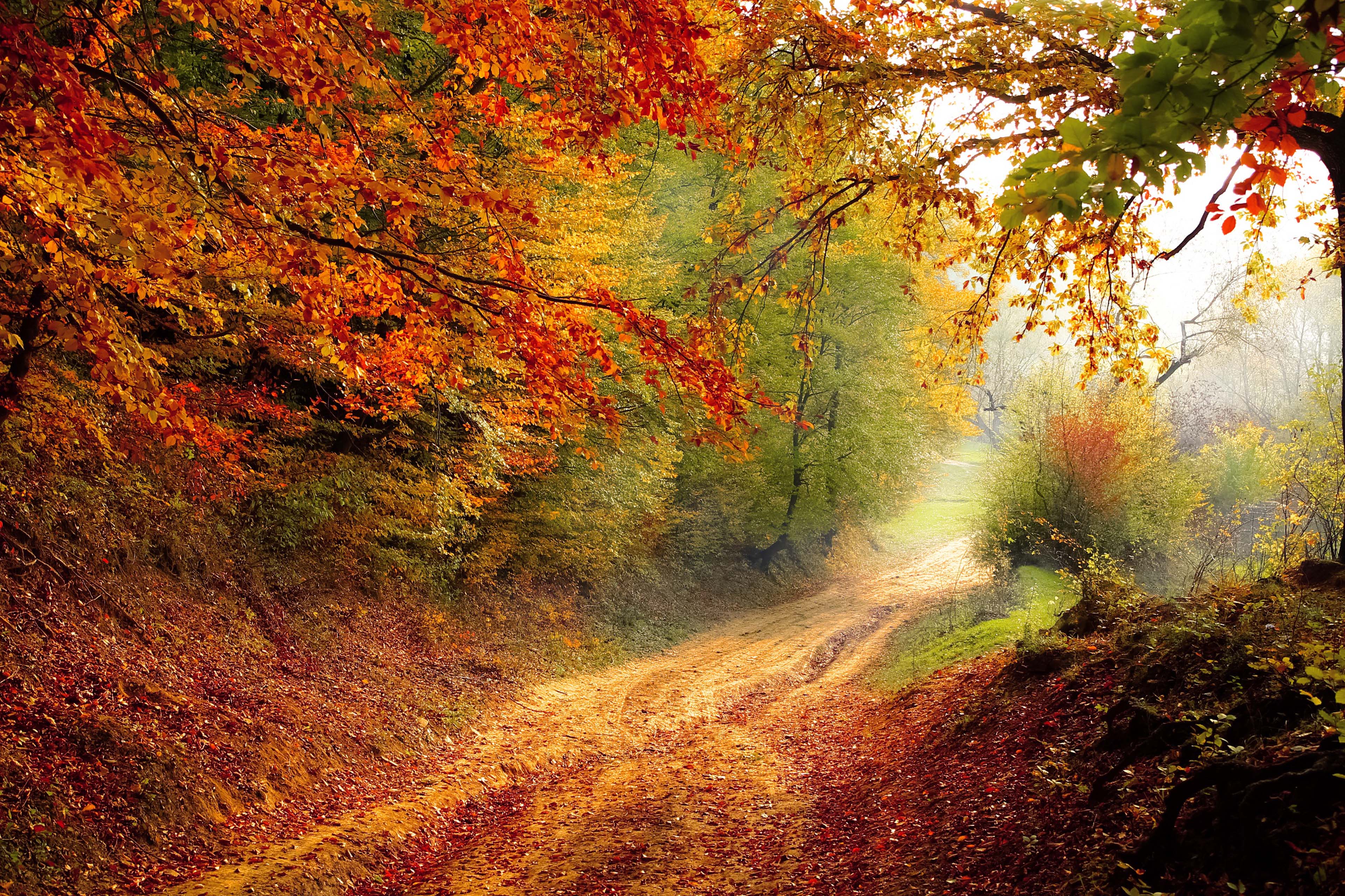 爸爸属猴孩子属羊好不好 生肖性格分析