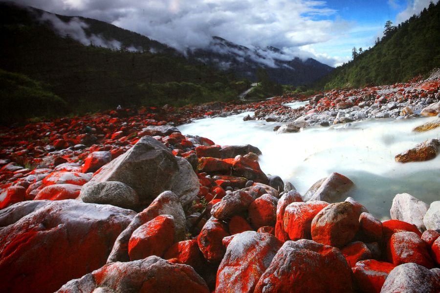 2021年属猪婚姻运势 可以遇到良人吗