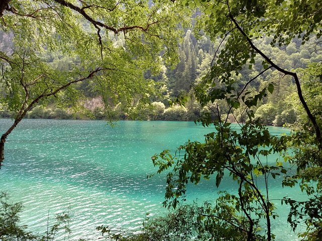 2022年属蛇刑太岁是什么意思，如何化解