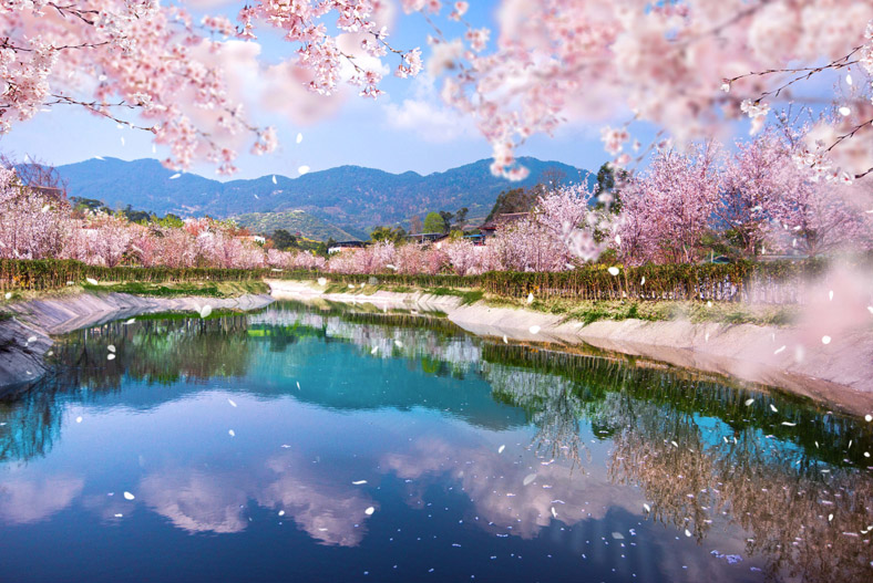 2022年属马犯太岁是什么意思，如何化解