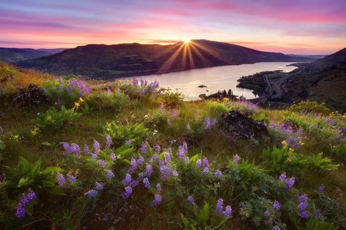 2022年属羊犯太岁是什么意思，如何化解