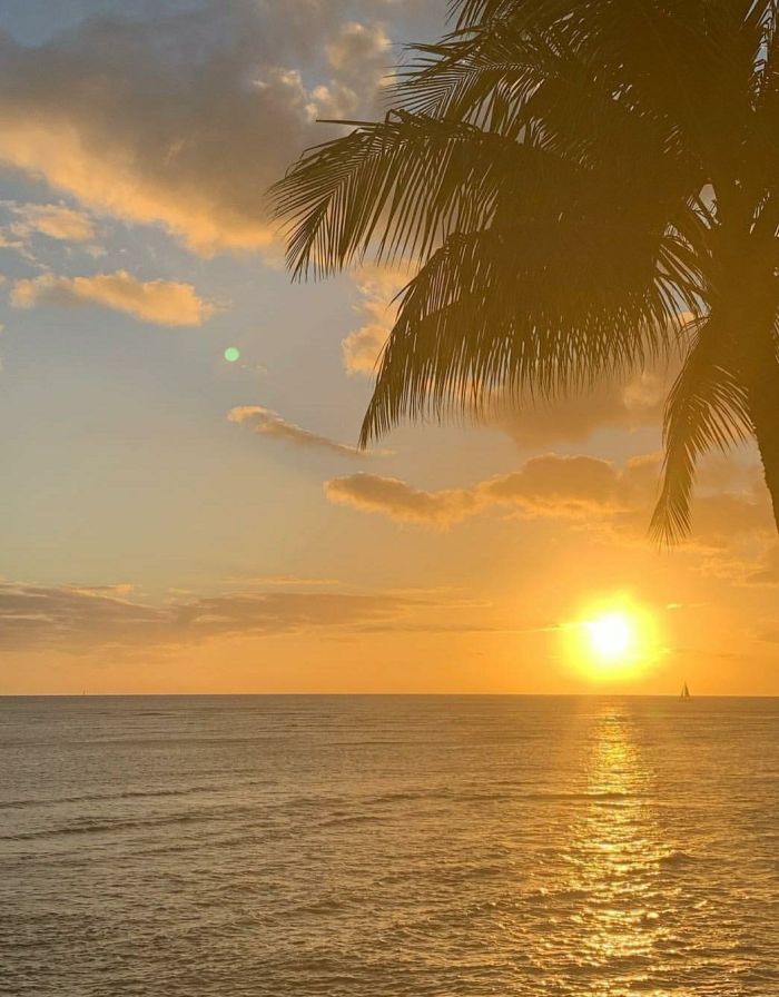 2022年属猴冲太岁是什么意思，如何化解