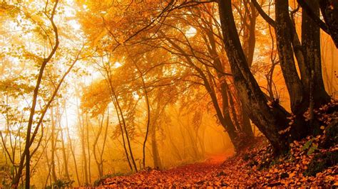 属蛇幸运色是什么颜色2022 穿什么颜色好