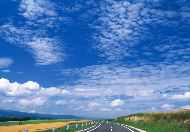 2021年属蛇人工作有变动吗 工资上涨事业稳定