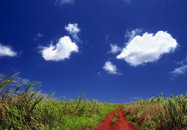 属蛇的贵人是哪个生肖 属猴人在其中