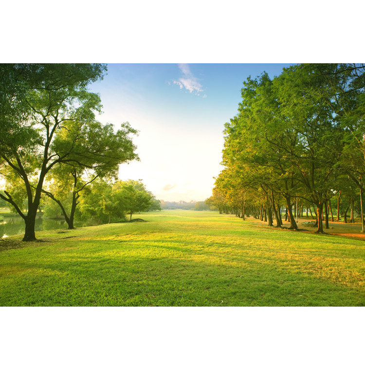 2022年属蛇适合结婚吗 属蛇人在这一年里婚姻运旺吗