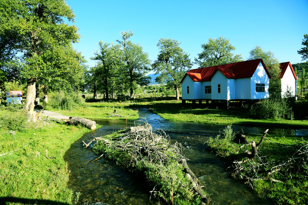 属龙的人2021年下半年运势及运程 伤官生财财运亨通