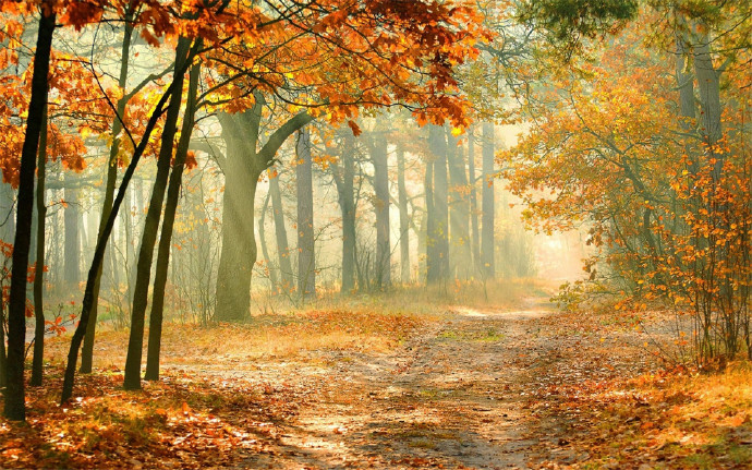 属马2021下半年运势事业 财运欠佳收入紧张