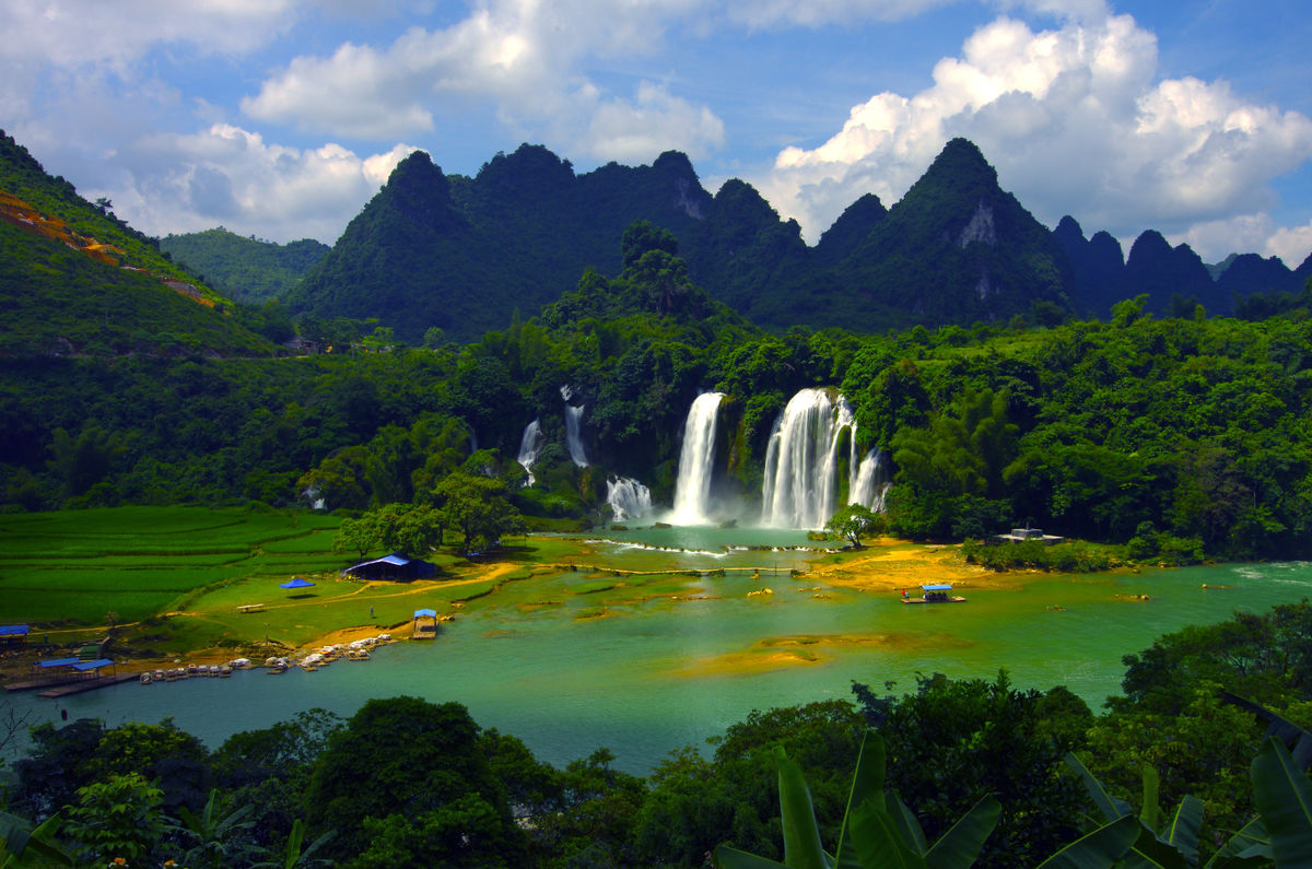 属鼠的今年的财运如何 属鼠人2022年财运方位