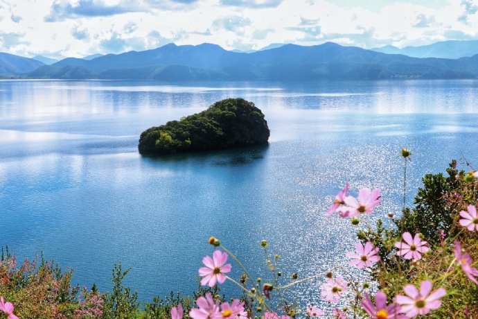 属龙的2022年幸运色 白色旺感情提升婚恋运