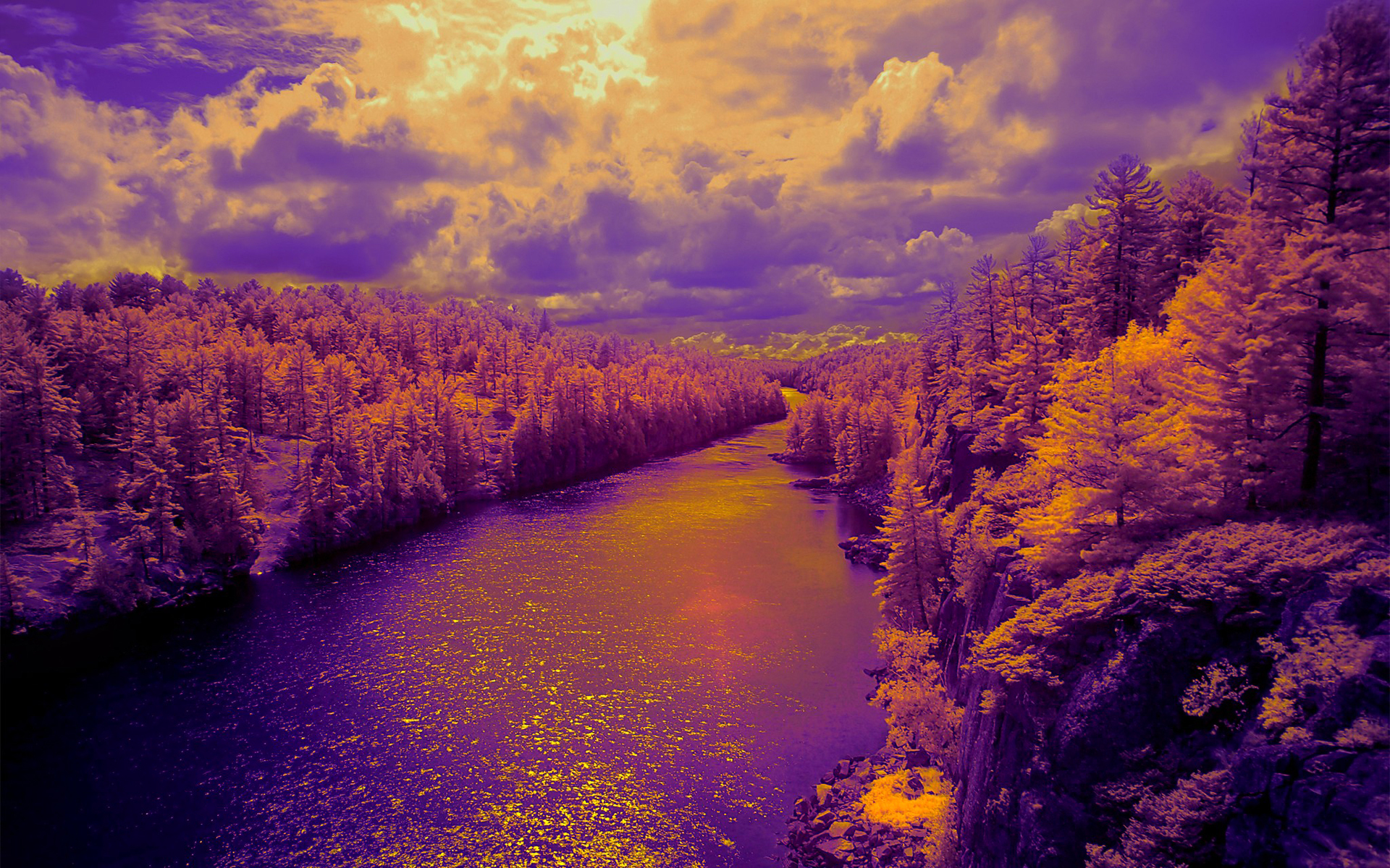 2022年在5月份桃花运最旺生肖 属相马荣登榜首