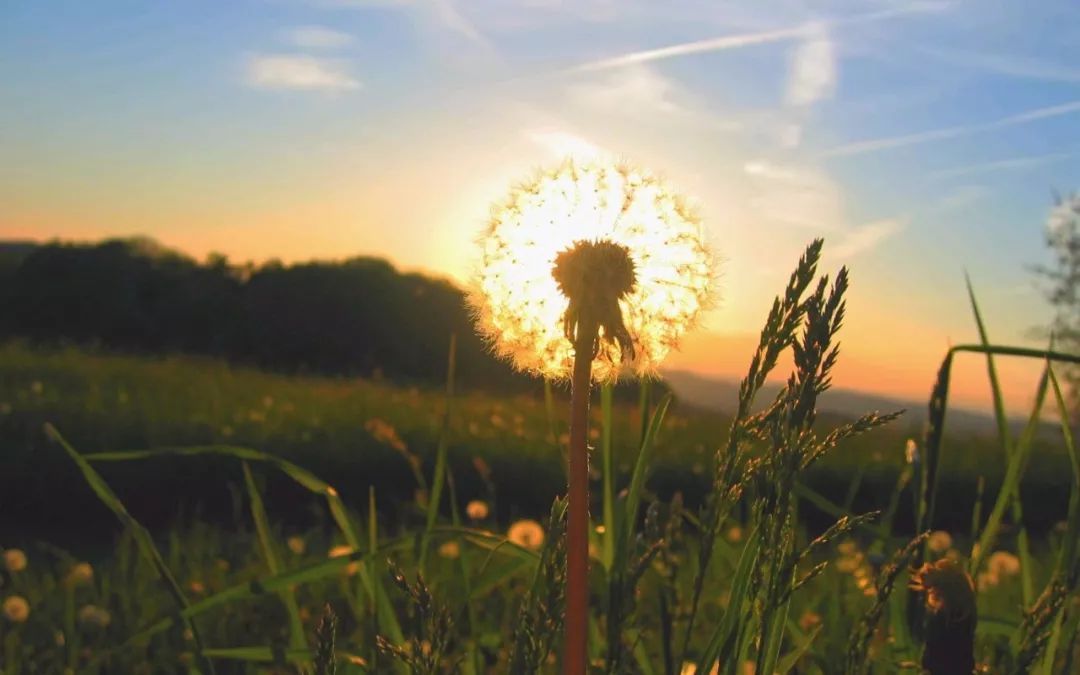 2022年属兔的衣服幸运色是什么 桔黄色助推事业发展