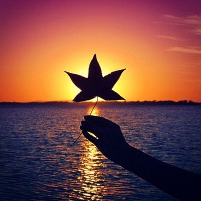 生肖牛2022年的桃花运如何 有什么感情建议吗