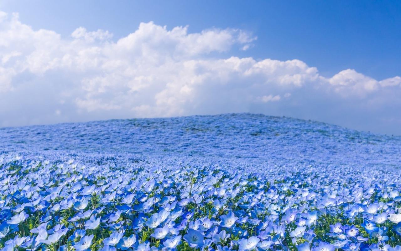 2022年生肖蛇什么颜色聚财 可以选择红色