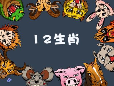 十二生肖配对表
